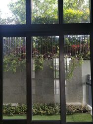 Bijou (D5), Apartment #382210441